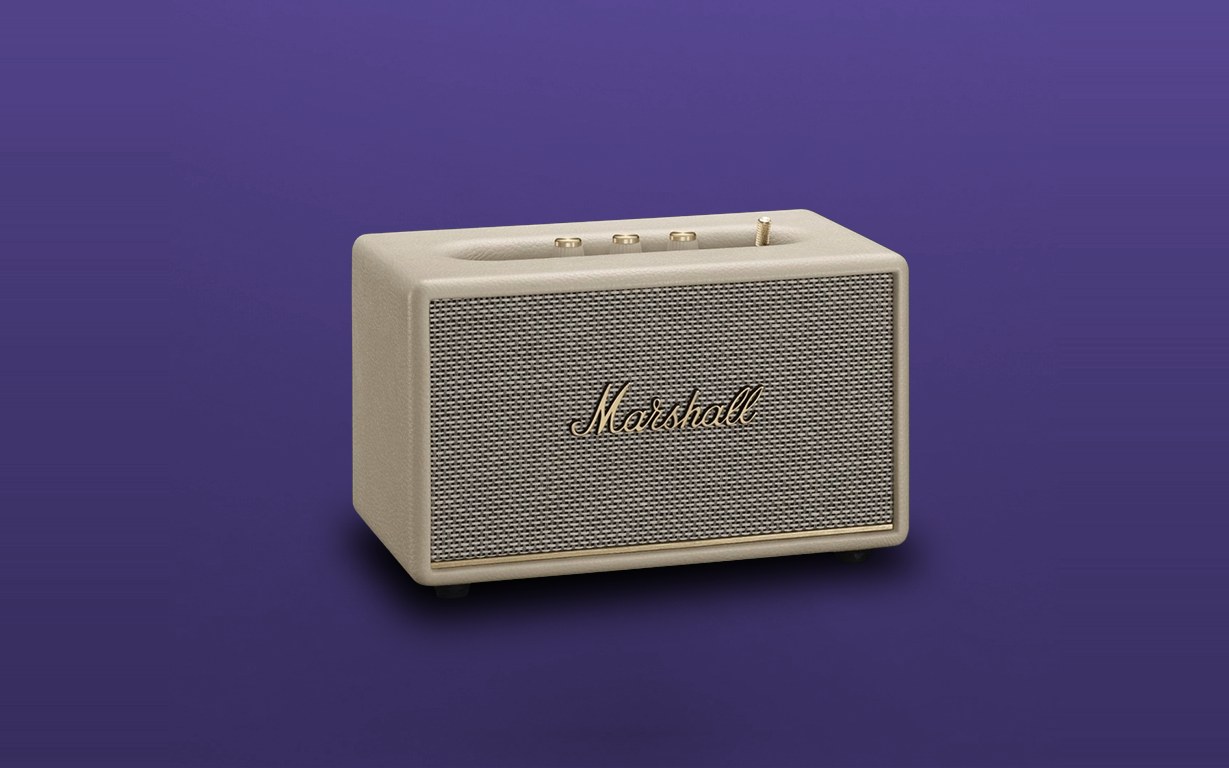 Marshall commercial speaker